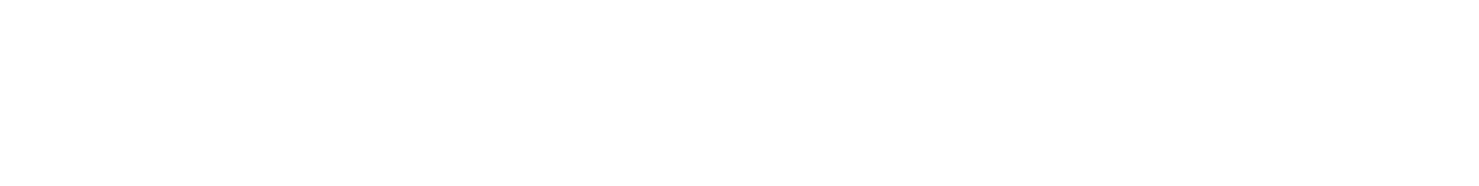The Wayfair Store Logo