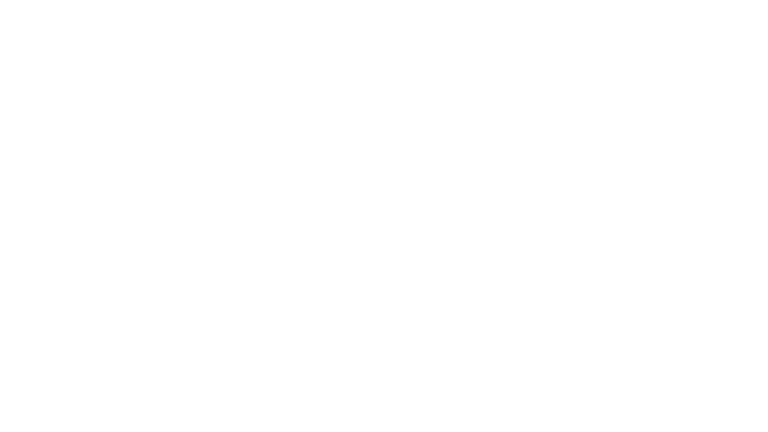 The Wayfair Store Stacked White Logo